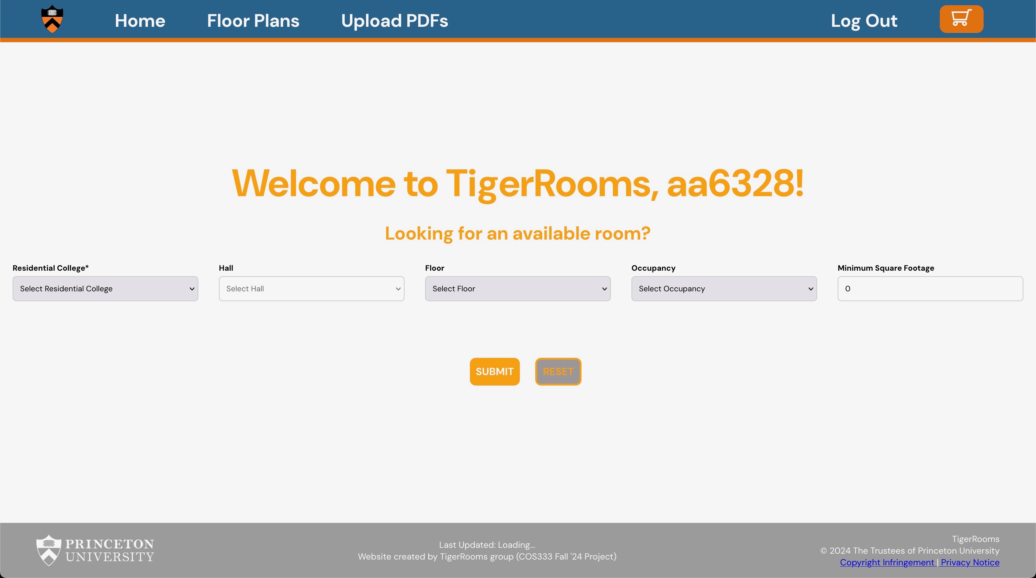 Project screenshot